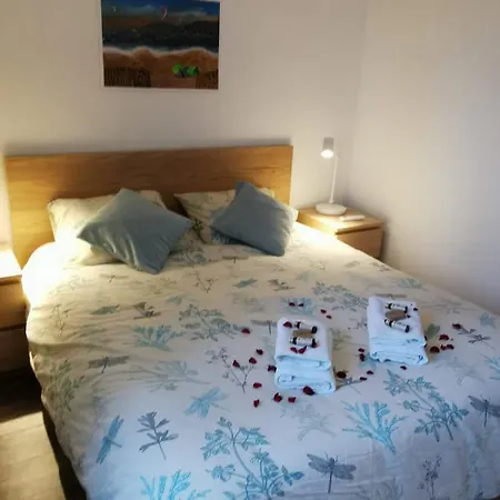 Apartment For 4 Pers The Amphoras Giens Hyeres